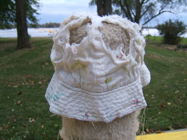the deplorable hat on a scratching post
