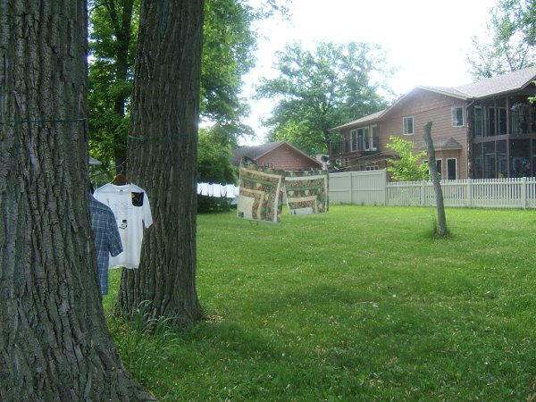 two cat quilts drying on the line