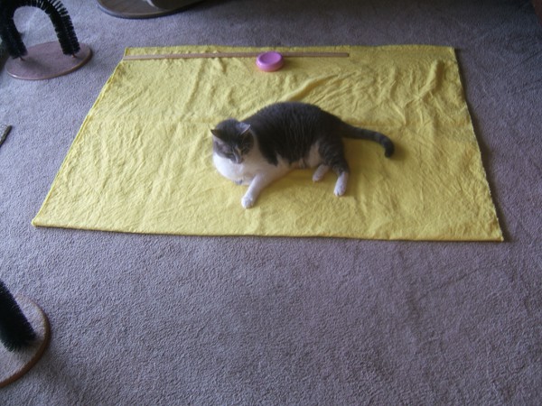 measuring the width of the linen