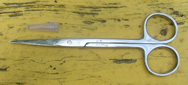 photo of scissors
