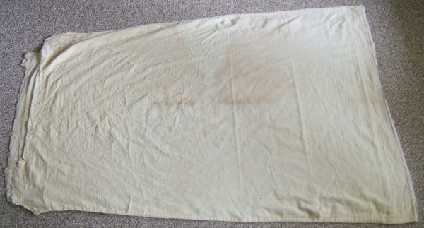 the old nightgown